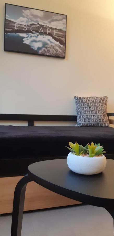 Appartamento Grenoble Hyper-Centre + Wifi + Netflix Esterno foto
